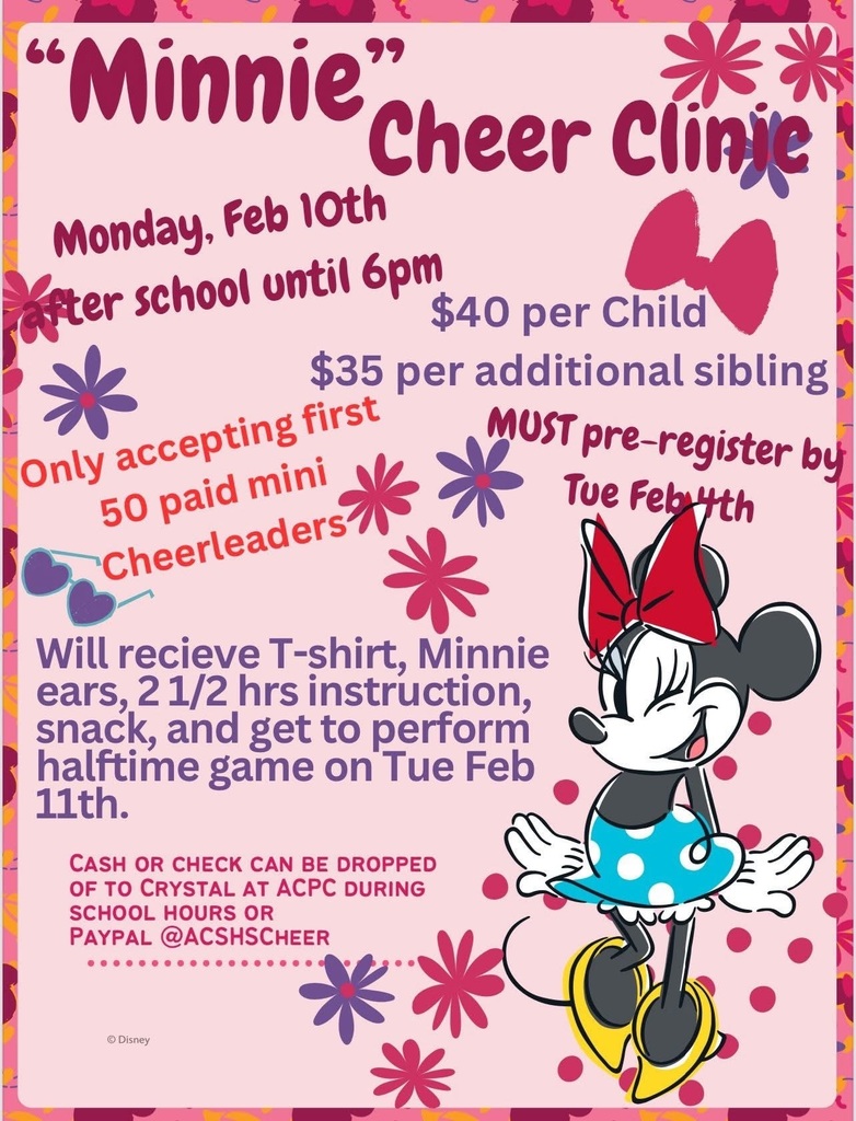 Cheer Clinic flyer