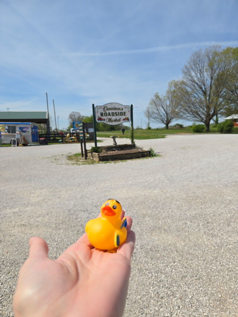 Thursday Ducks