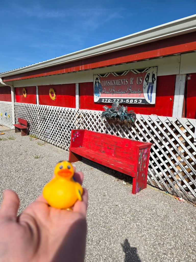 Thursday Ducks