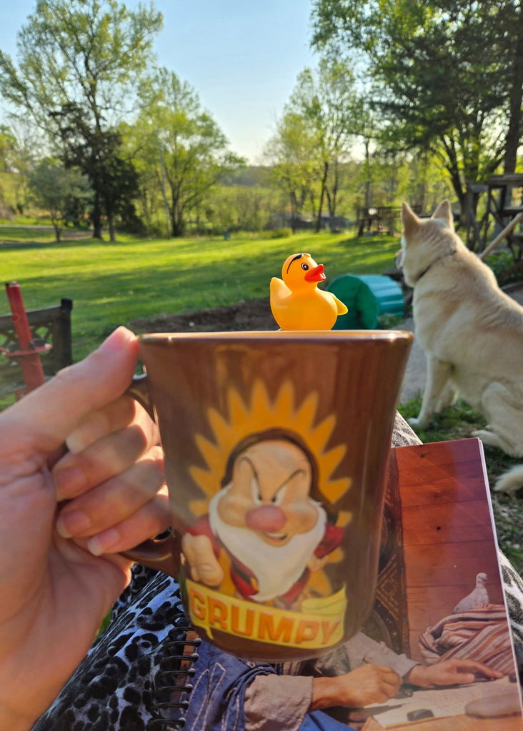 Thursday Ducks