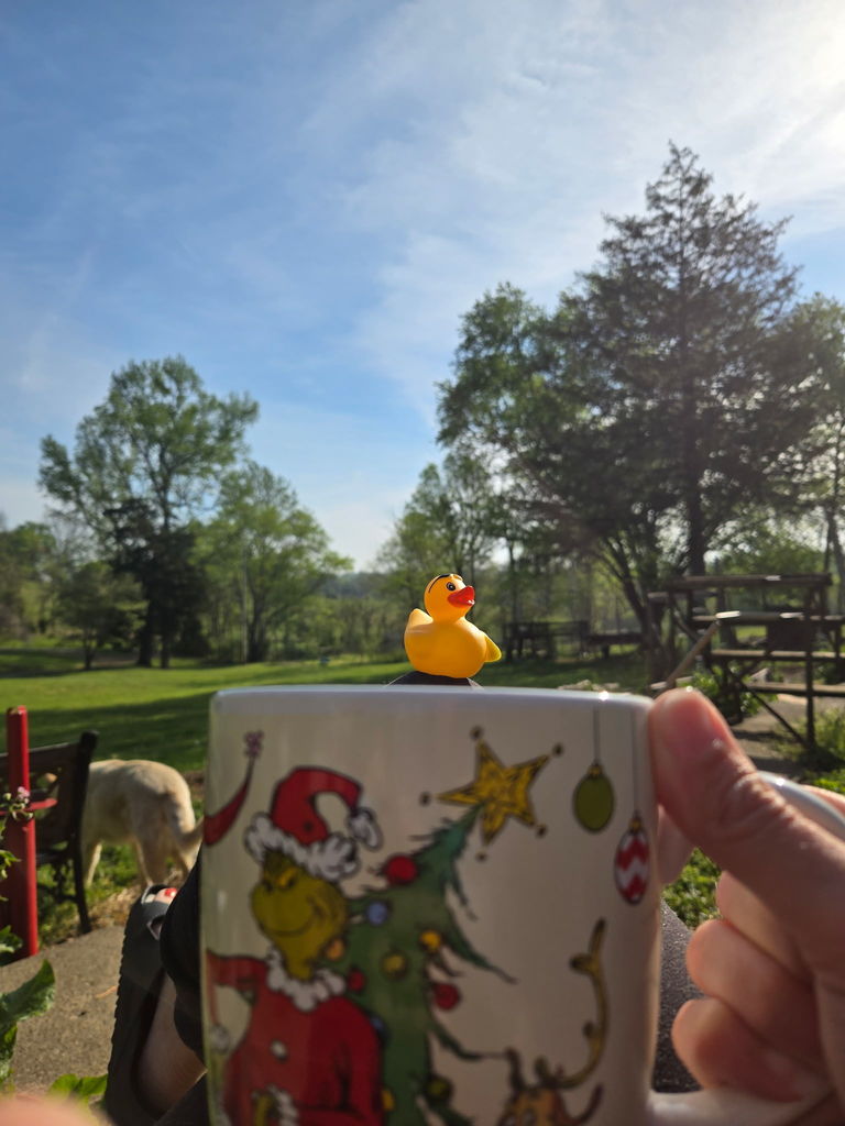 Friday Ducks