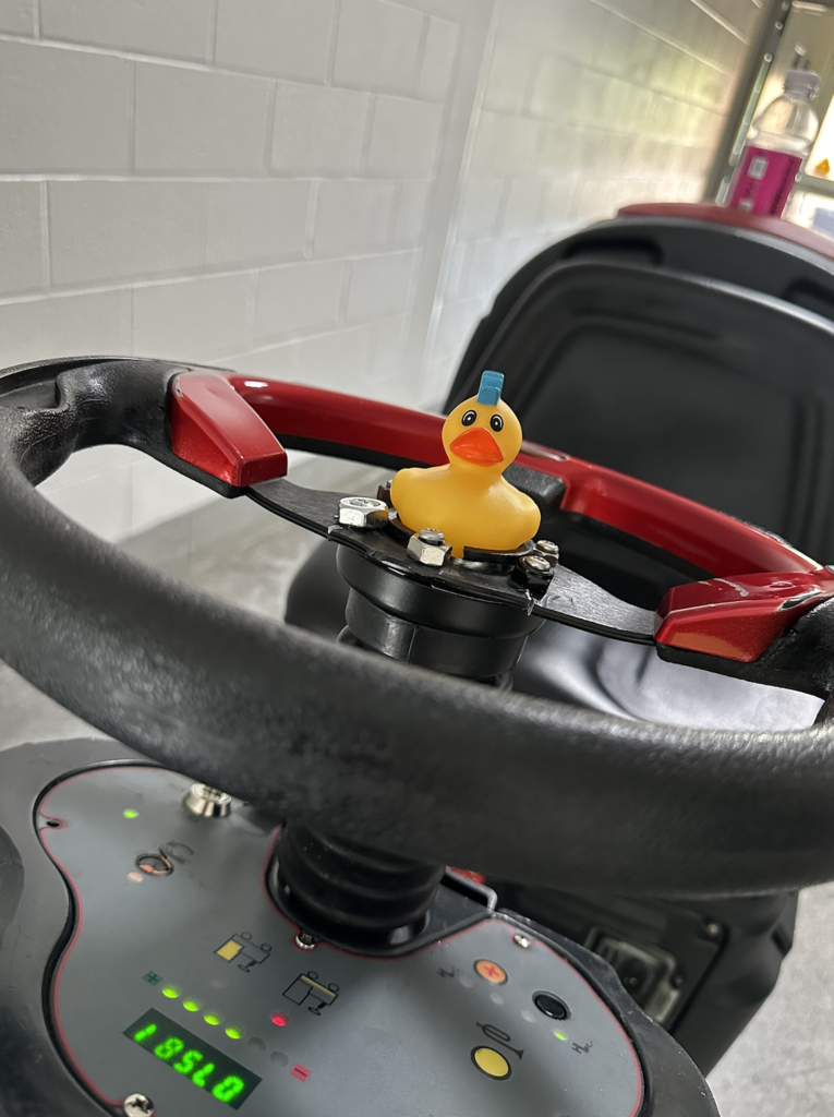 Friday Ducks