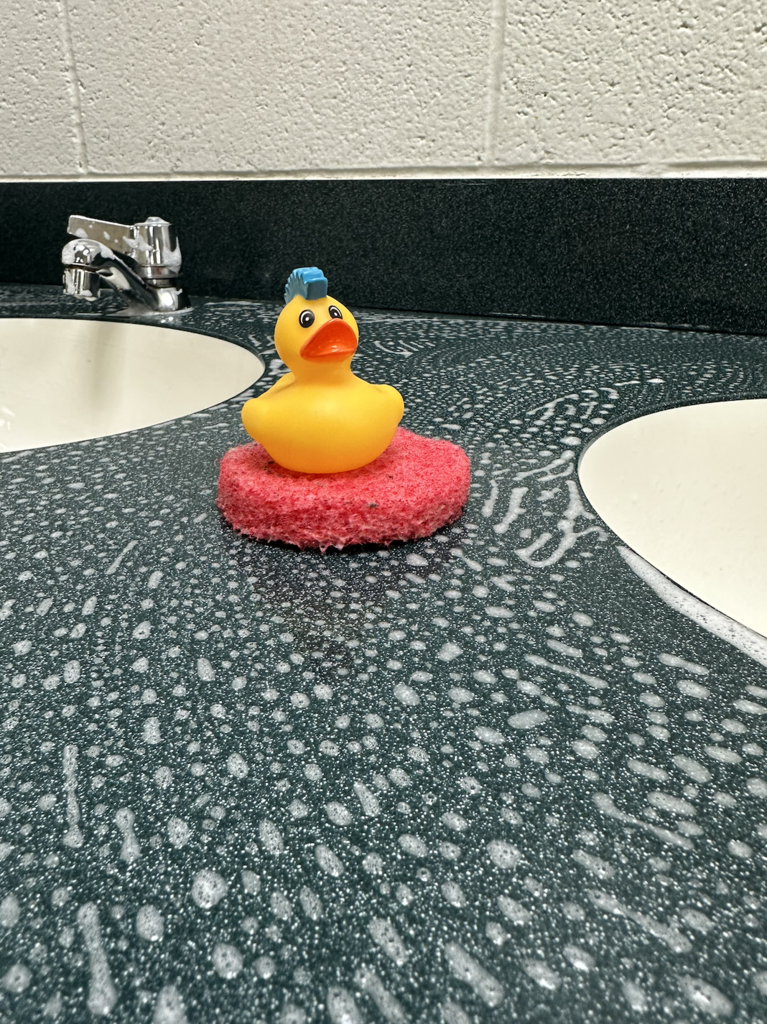 Friday Ducks