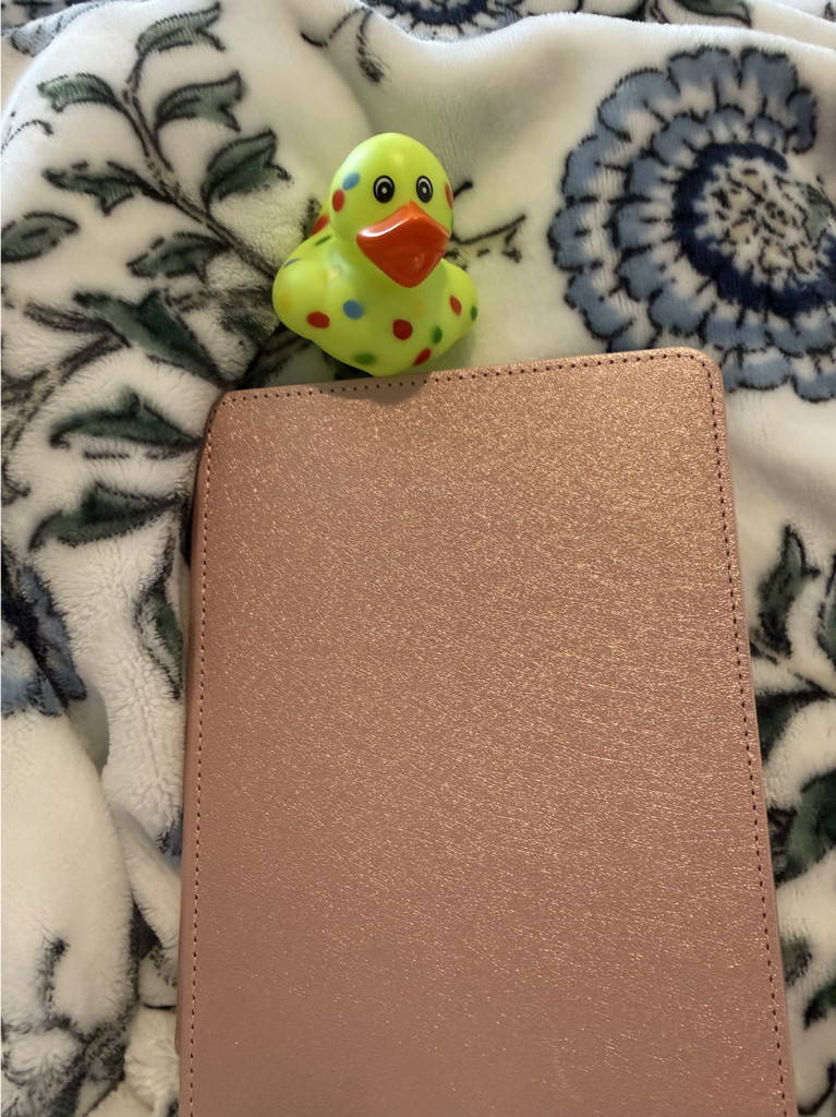 Sunday Ducks