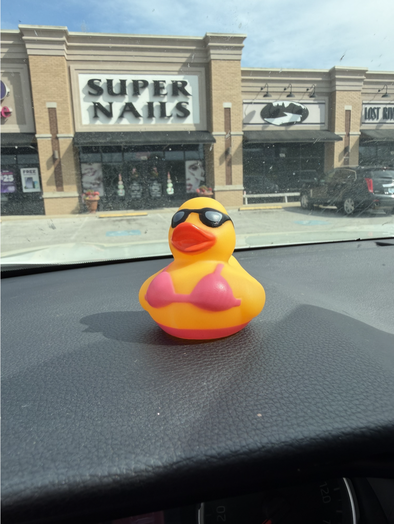 Sunday Ducks