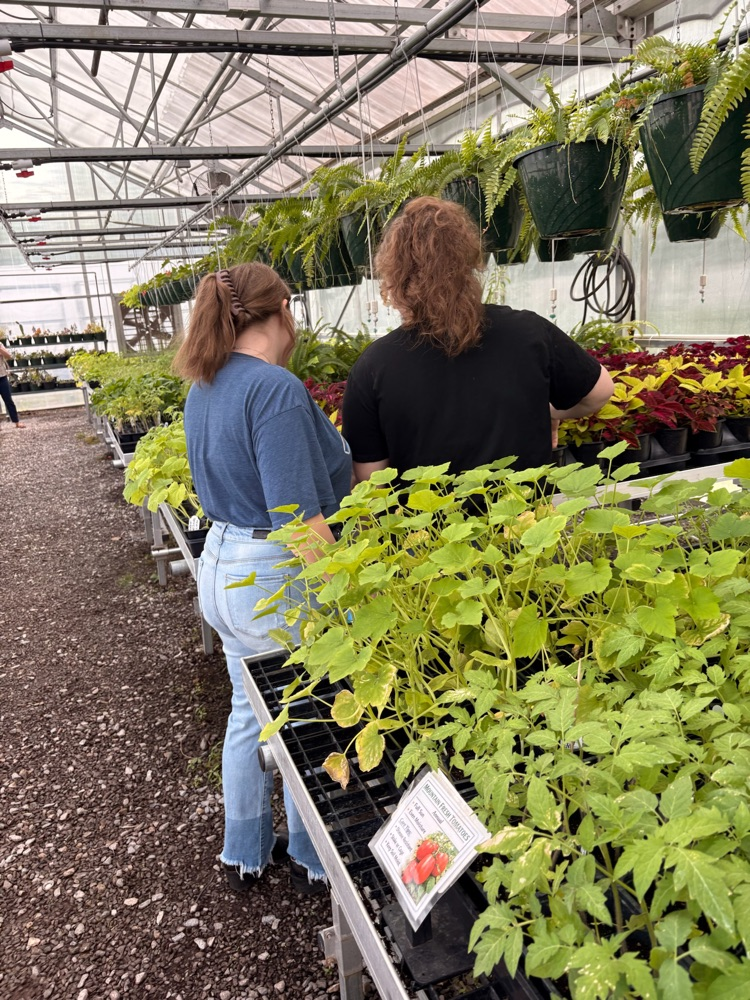 GREENHOUSE