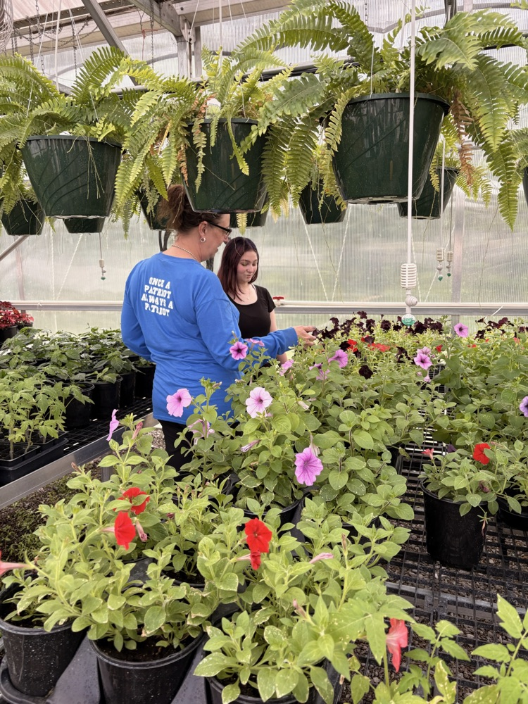 GREENHOUSE