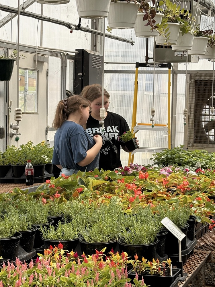 GREENHOUSE