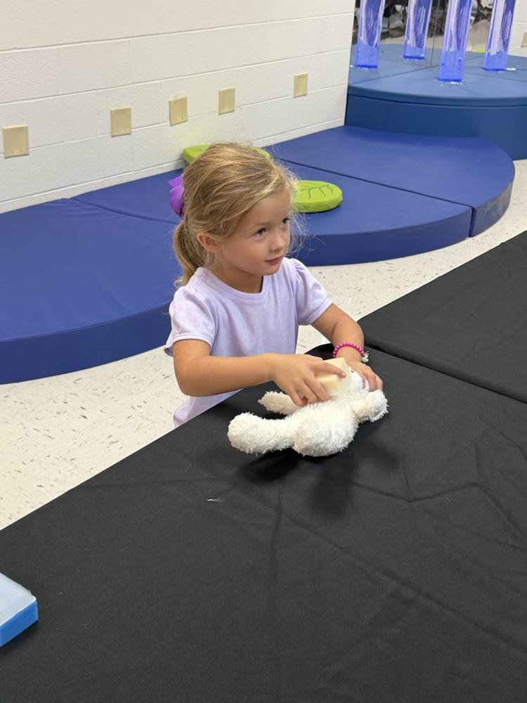 PK Teddy Bear Adoption Day