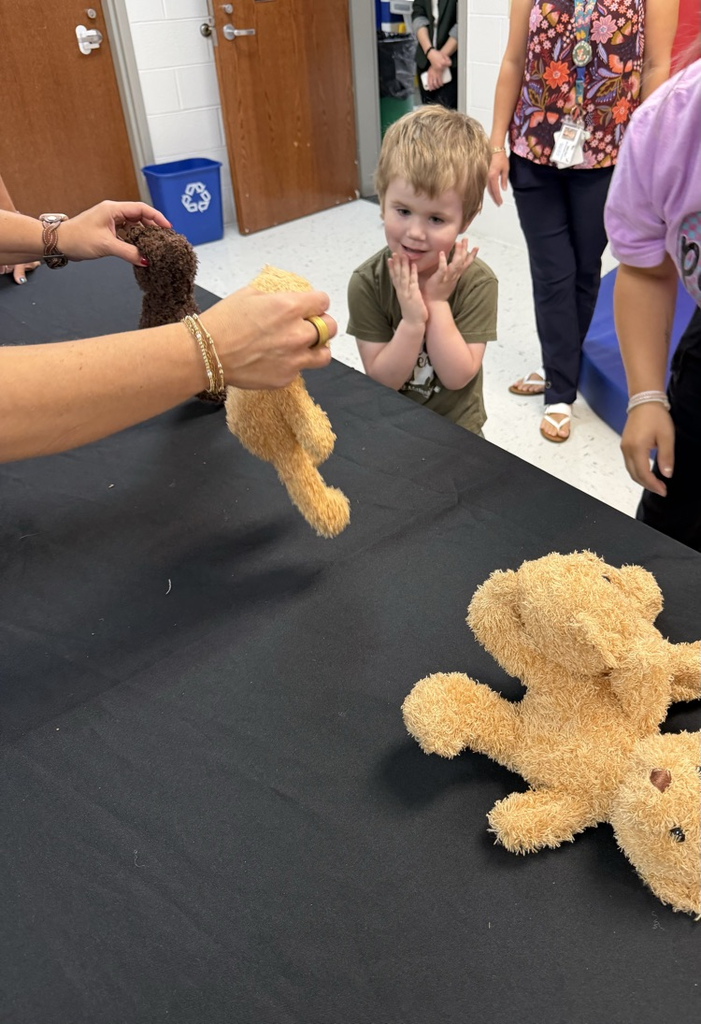 PK Teddy Bear Adoption Day