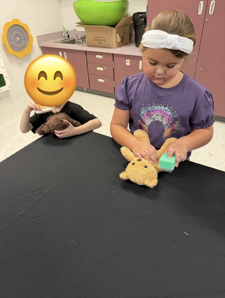 PK Teddy Bear Adoption Day
