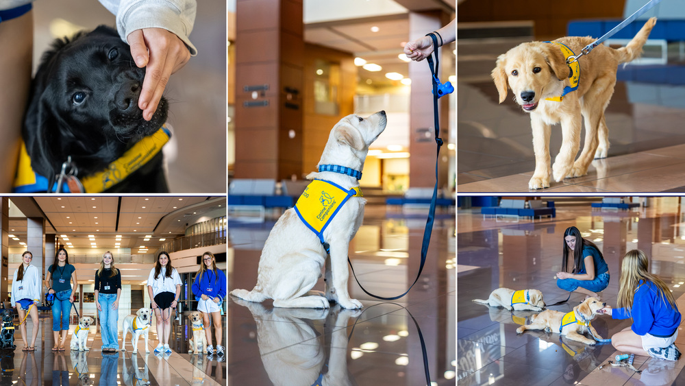 Allen ISD's Canine Companions Program