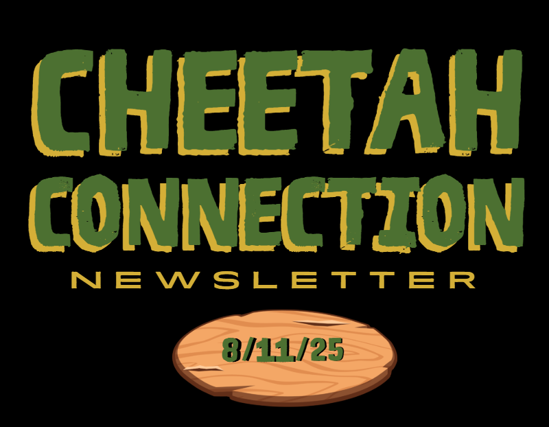 Cheetah Connection Newsletter 8/11/25