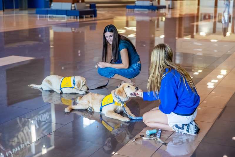 Allen FFA Students with Canine Companions