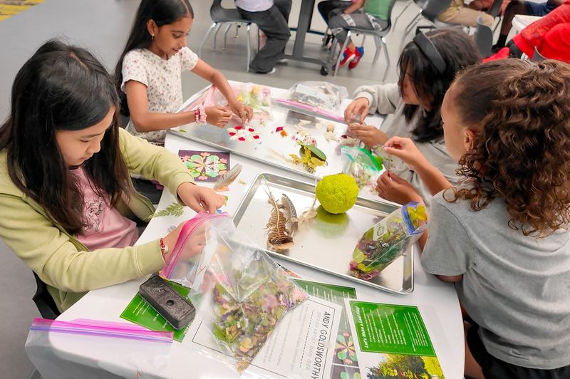 Allen ISD 6th graders use a Foundation for Allen Schools grant to create Earth Art at the STEAM Center, blending art and science.