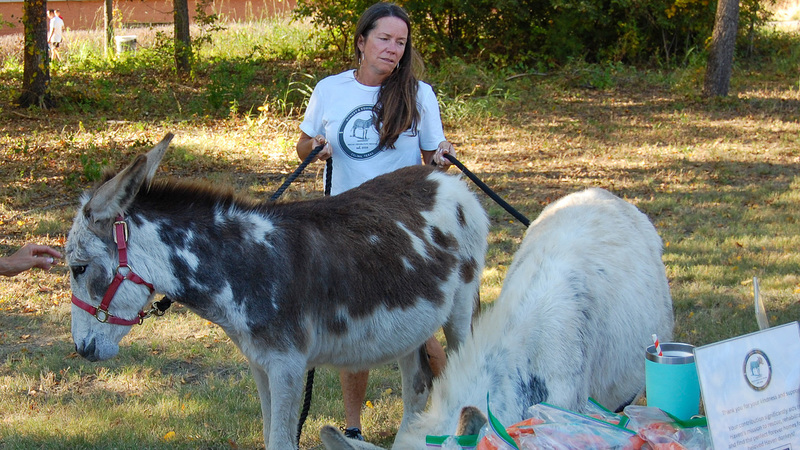 STEAM Center Fall Fest