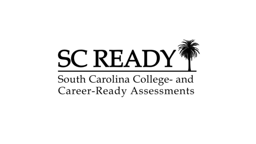 dandyd@acs.k12.sc.us