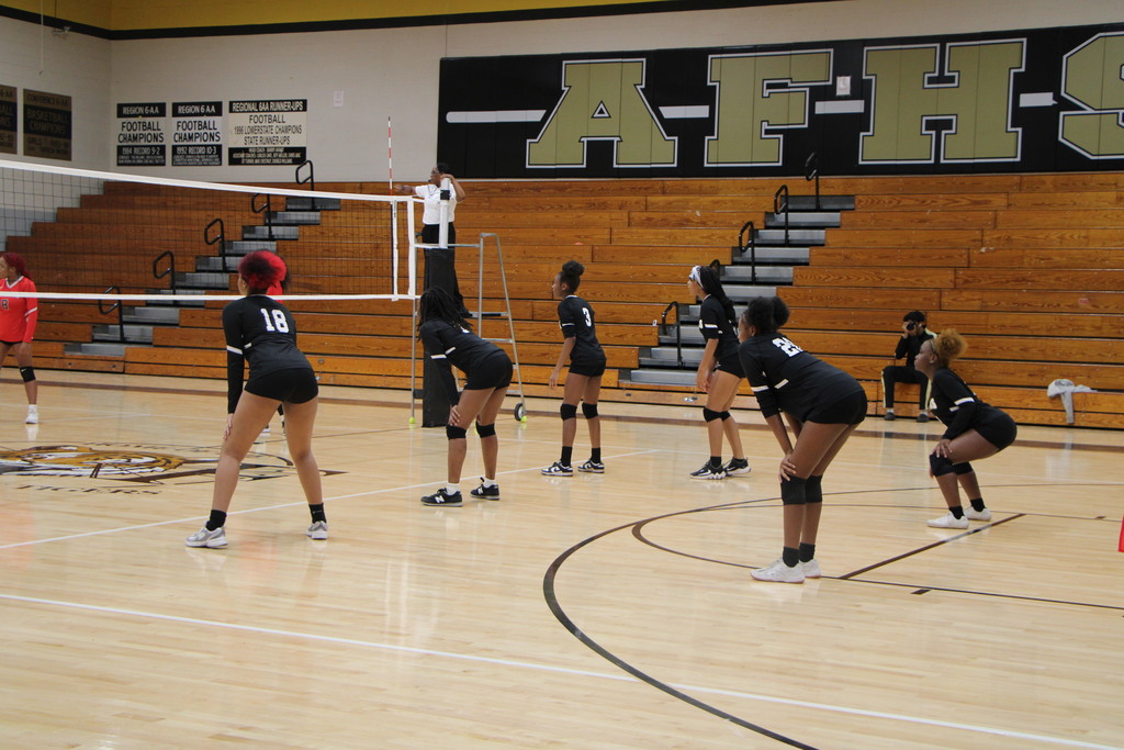 volleyball