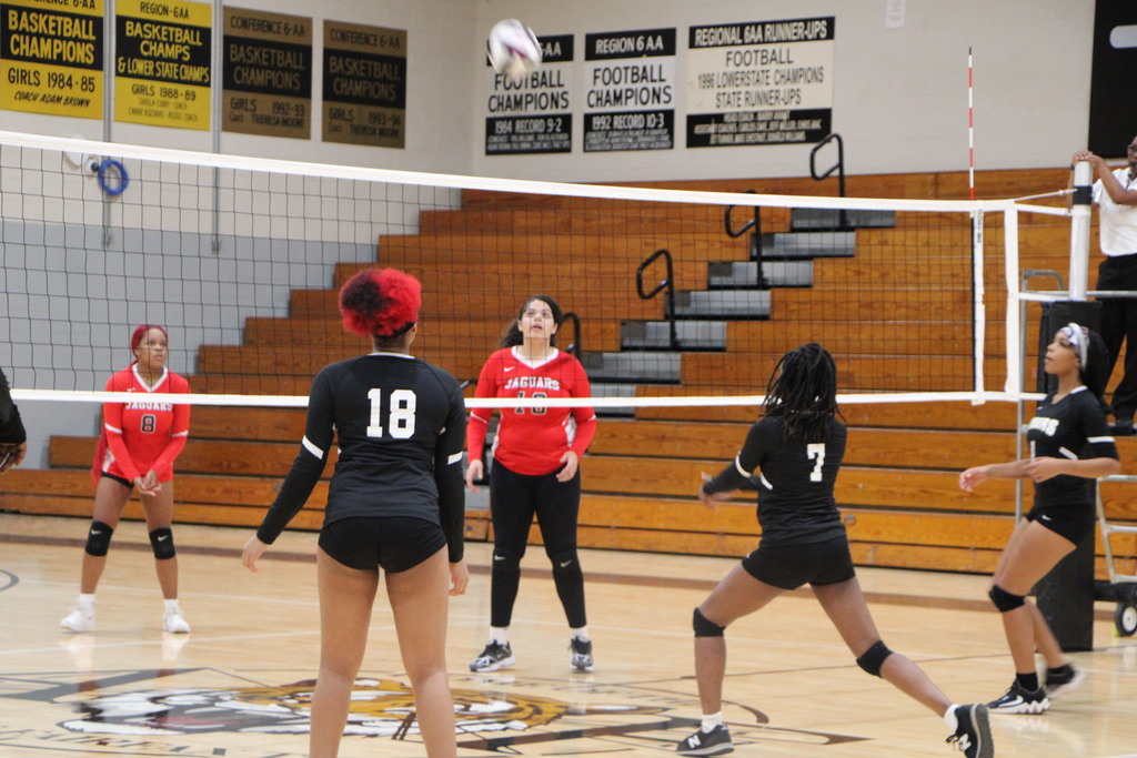 volleyball