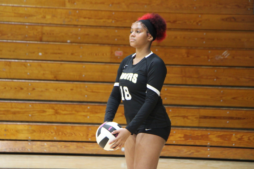 volleyball