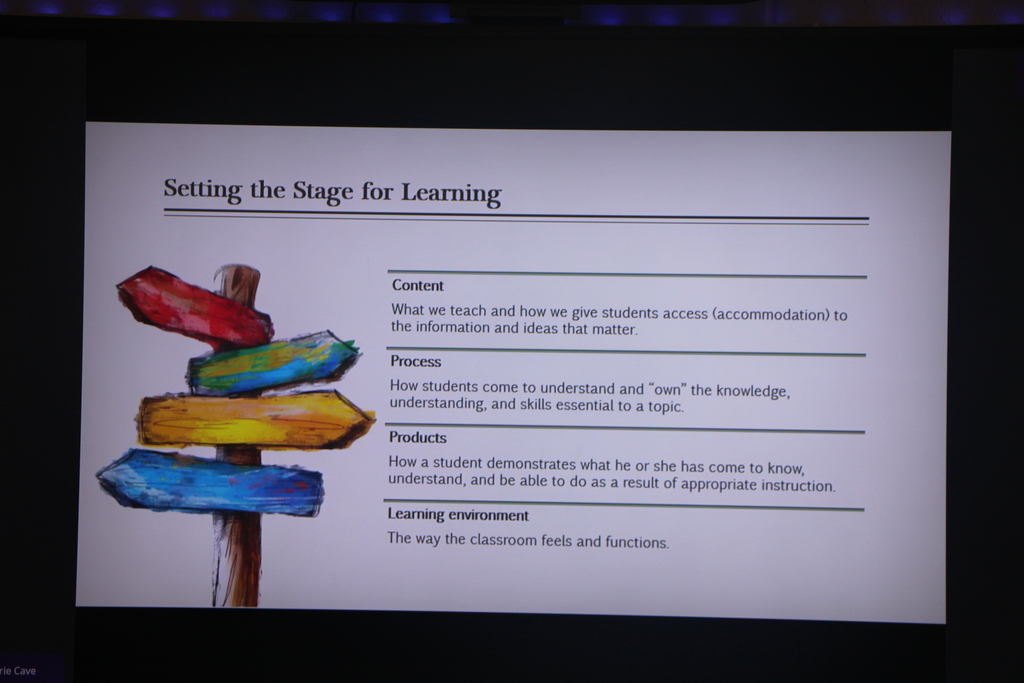 professional development