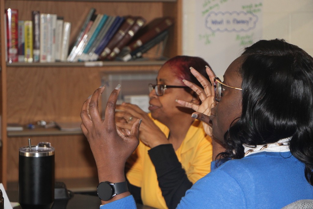 professional development