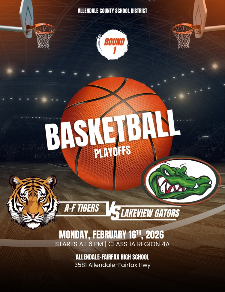 basketball playoffs monday february 16 th girls lakeview af tigers