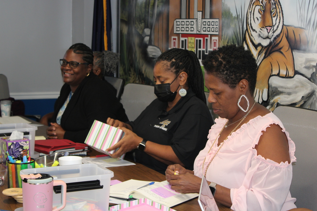 professional development epi