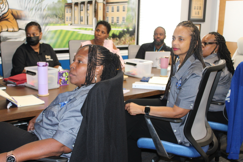professional development epi