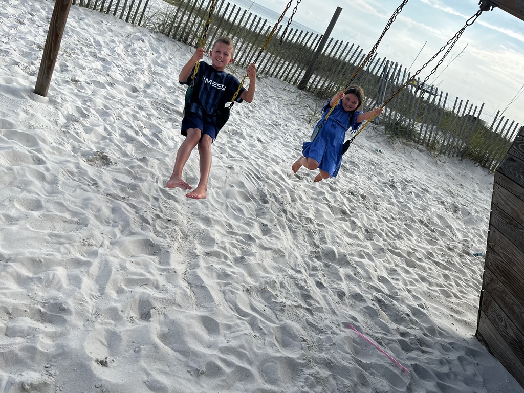 Andrew and Ellie swinging at the beach