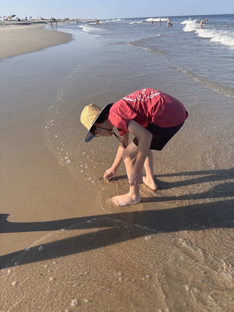 Bralynn looking for seashells