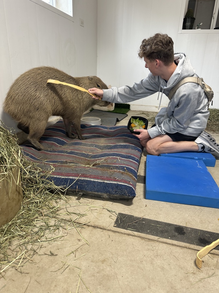 liam cratching a capybara