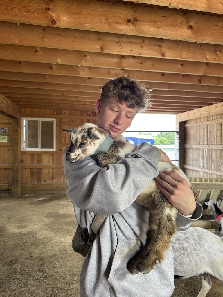 liam holding a goat