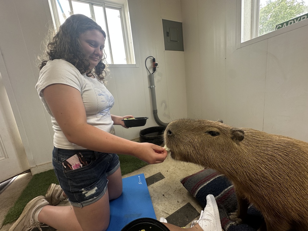 Makaila feeding a capybara