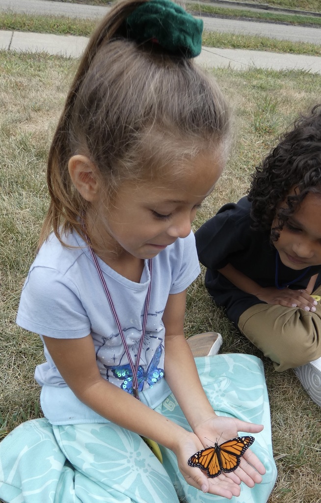students holding butterflies