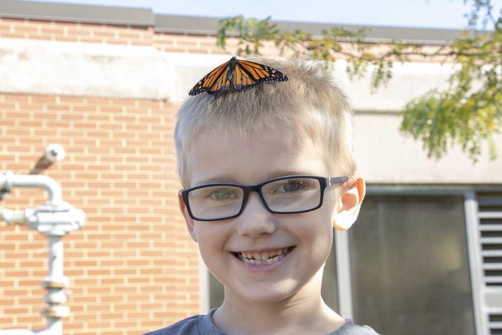 a student smiling with a butterfly sprawled out on the top of his head like a hat