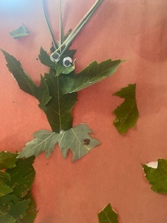 Picture of a leaf man