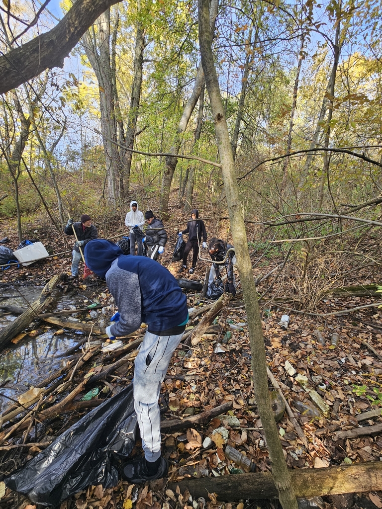 Pictures of the students volunteering