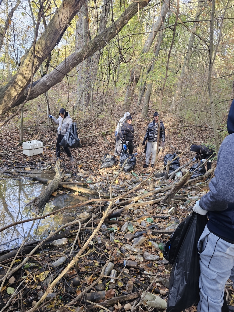 Pictures of the students volunteering