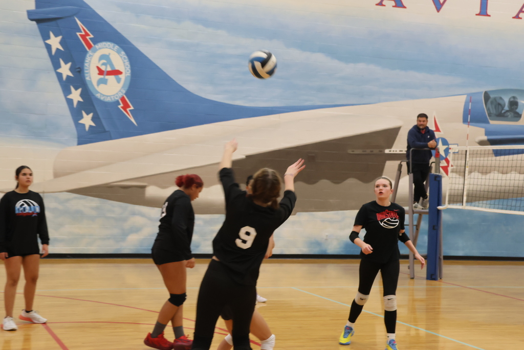 Pic of volleyball game