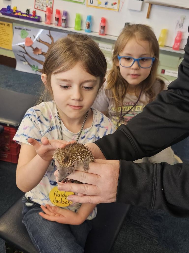 Student petting a tenrek