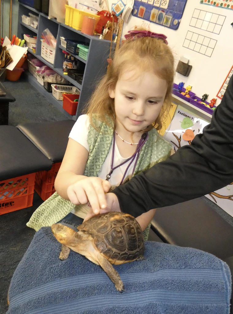 Student petting a turtle