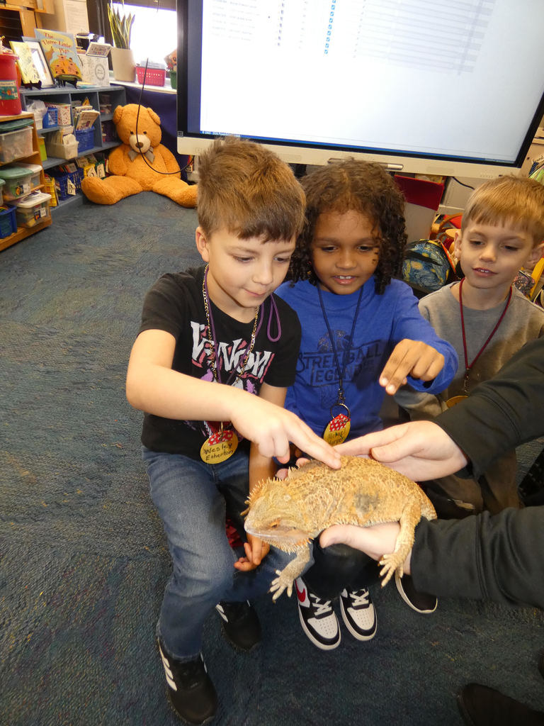 Student petting a bearded dragon
