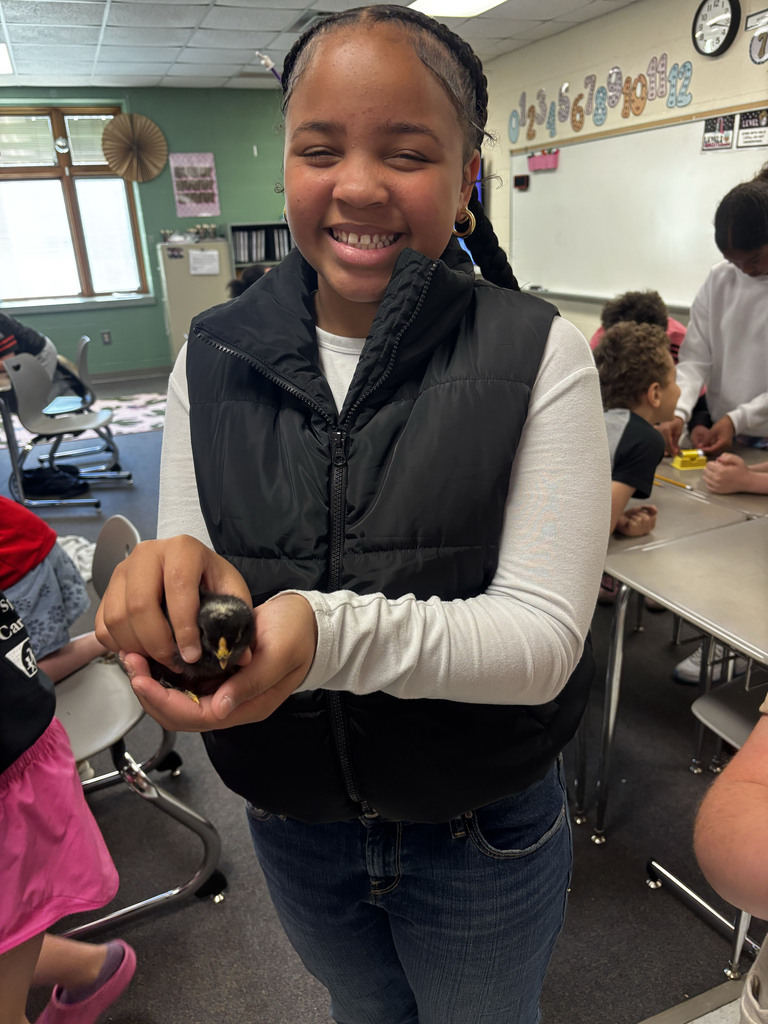Student holding a baby chick