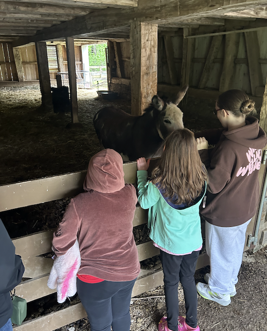 Students exploring the Nature center