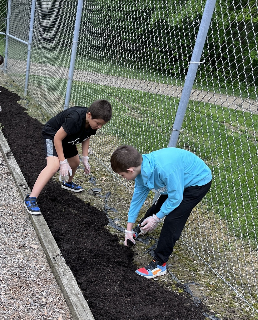 Students planting the seeds