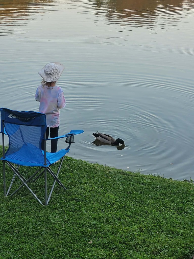 bailey feeding a duck