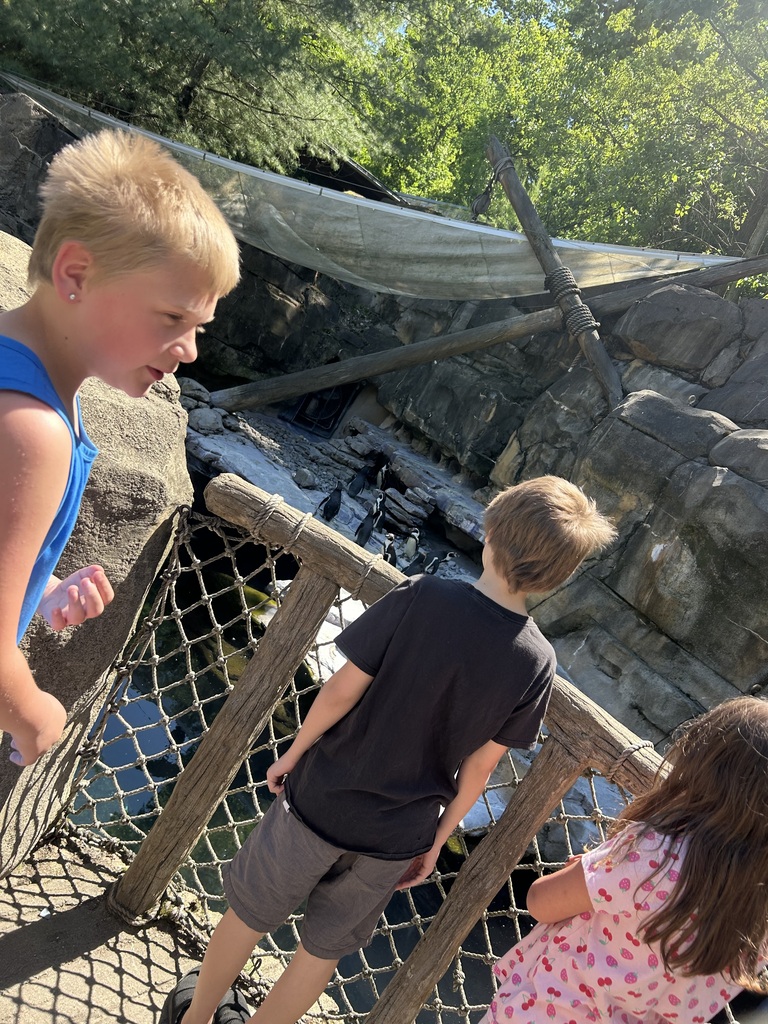 the three students looking at the penguins