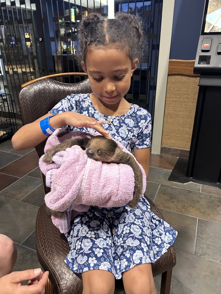 Kynslee petting a baby sloth