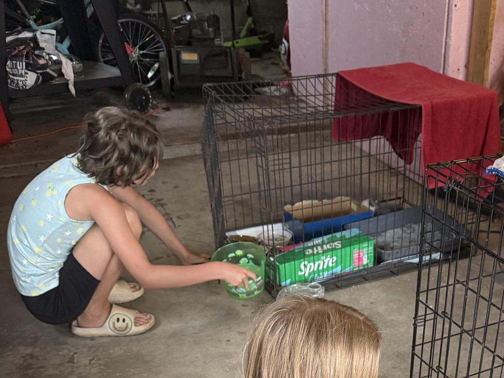 Penelope feeding cats
